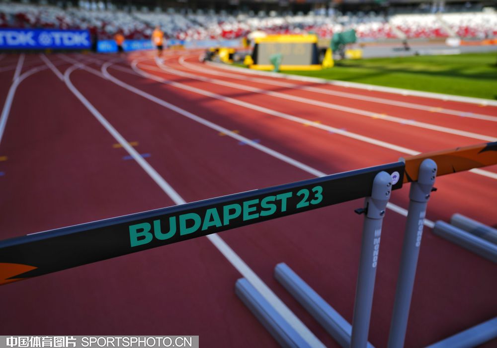 见的球队管 见的球队管